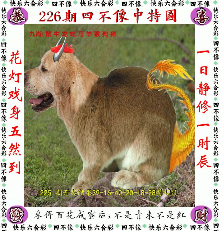 四不像 第226期