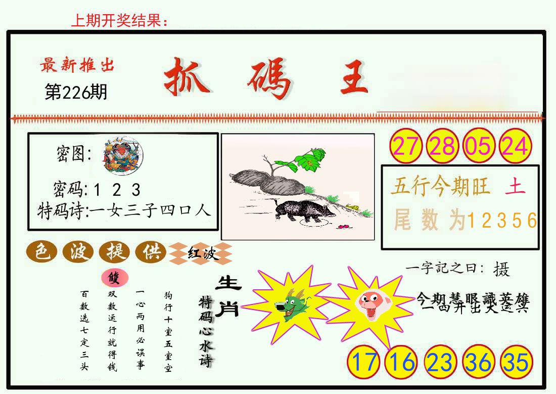 最新抓码王 第226期