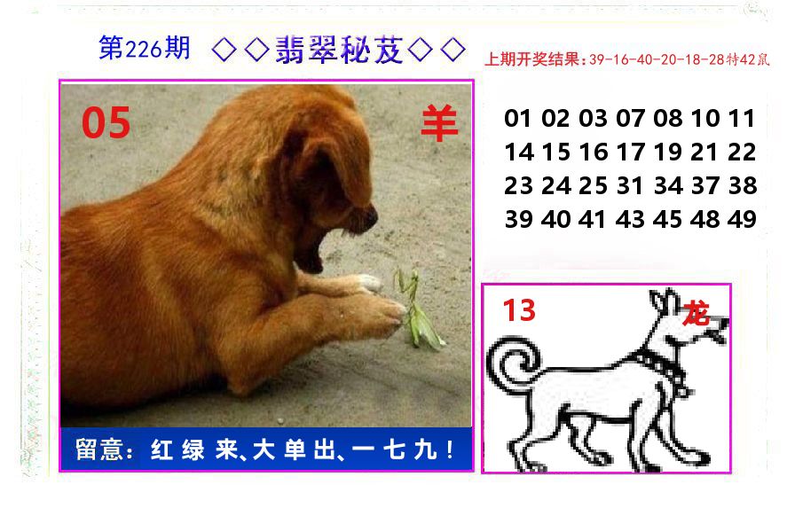 翡翠秘芨 第226期