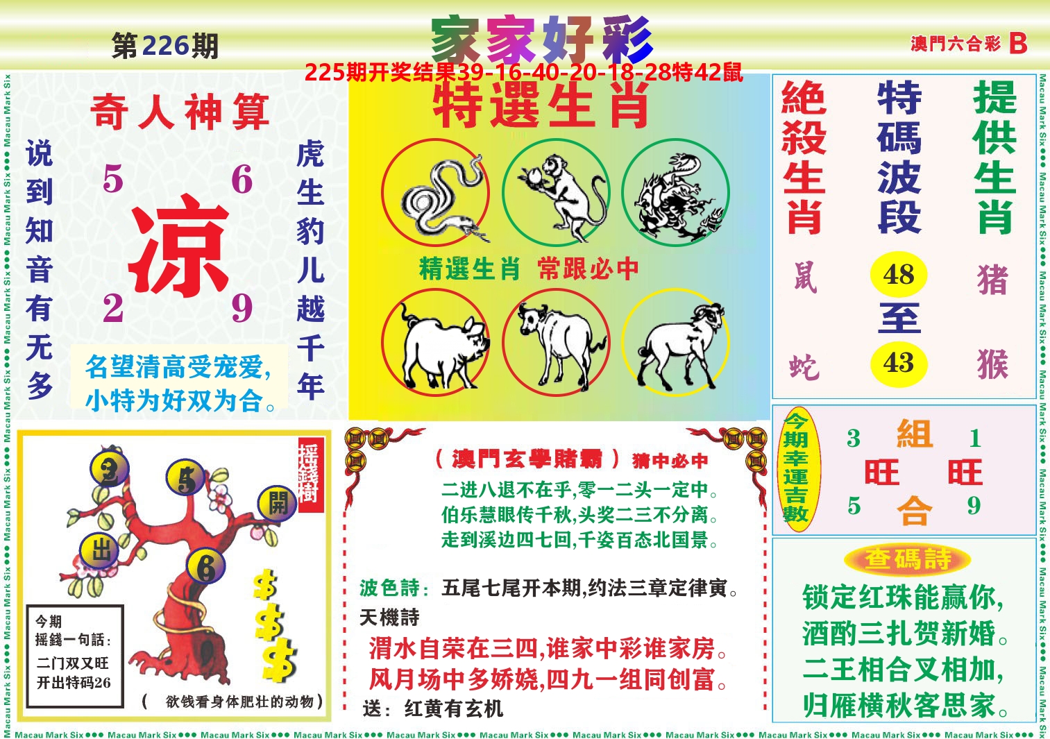 家家好彩B 第226期