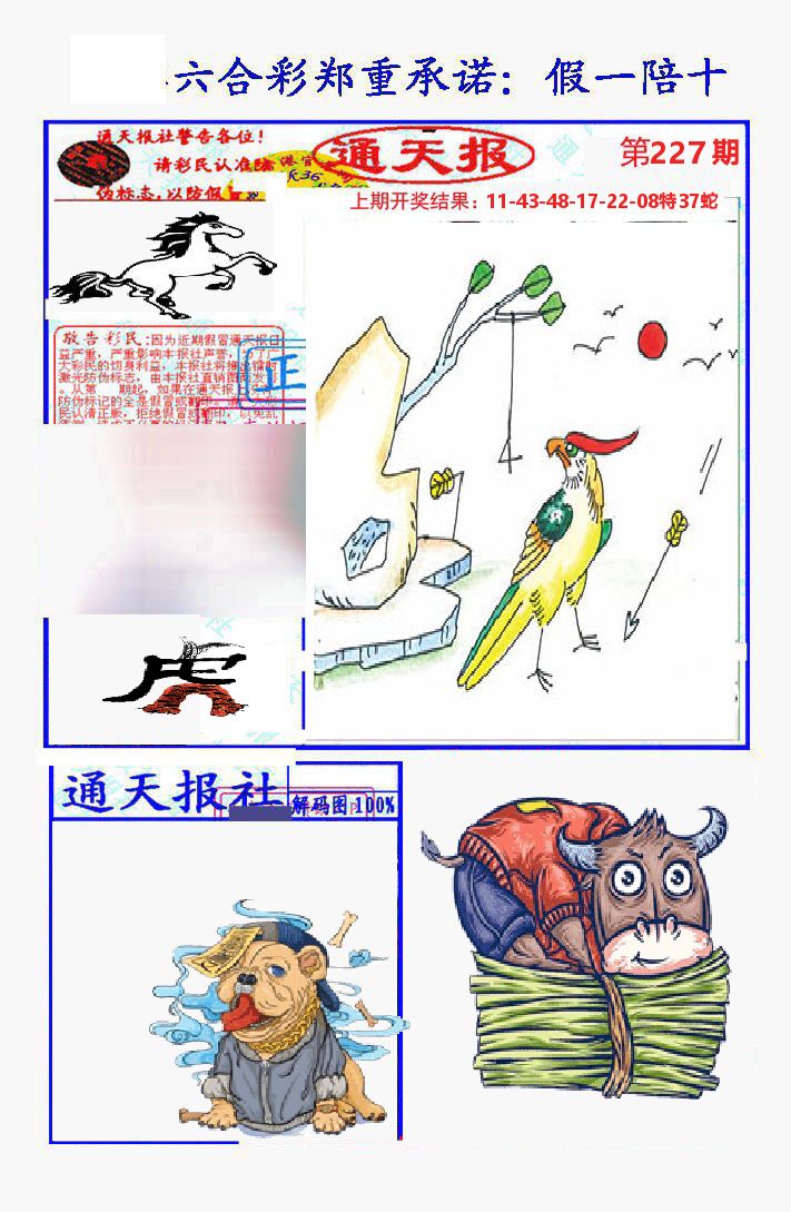 通天报 第227期
