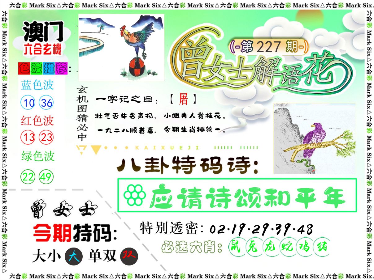 曾女士解语花 第227期