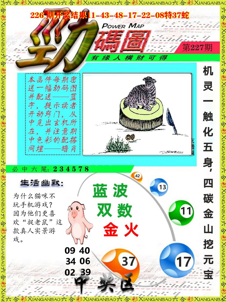 劲码图 第227期