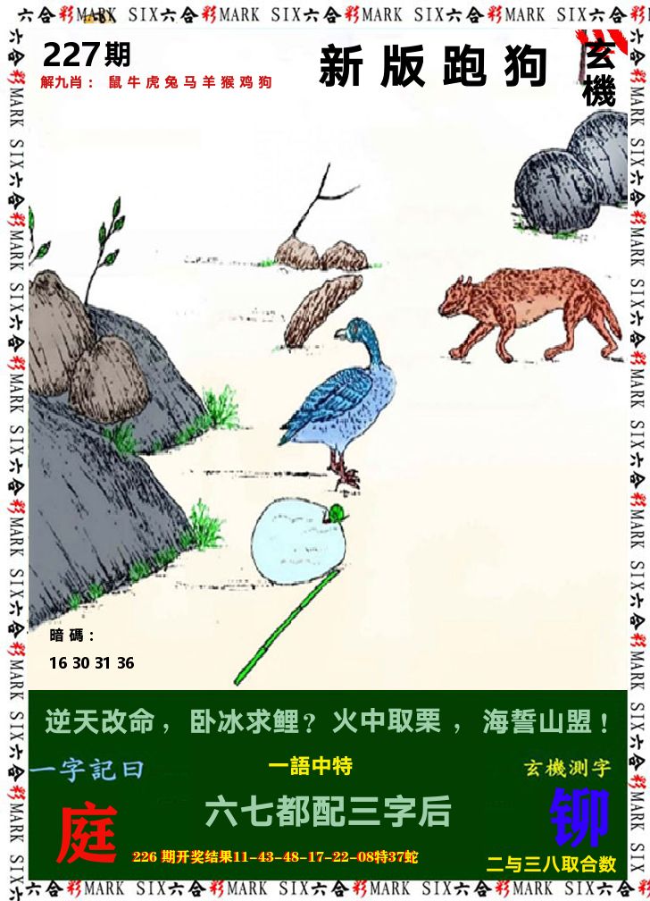 悟入其图 第227期