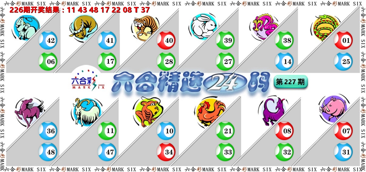 六合精选24码 第227期