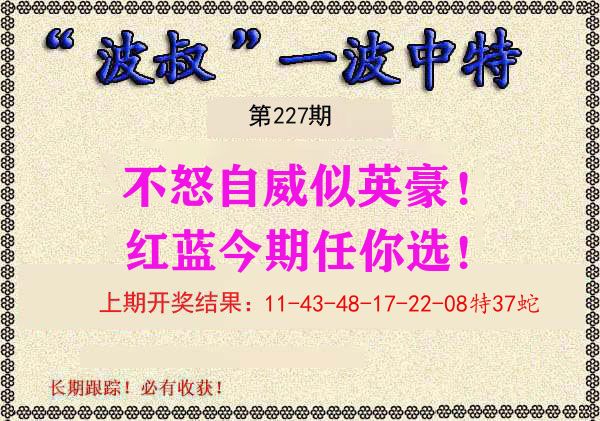 波叔中特 第227期