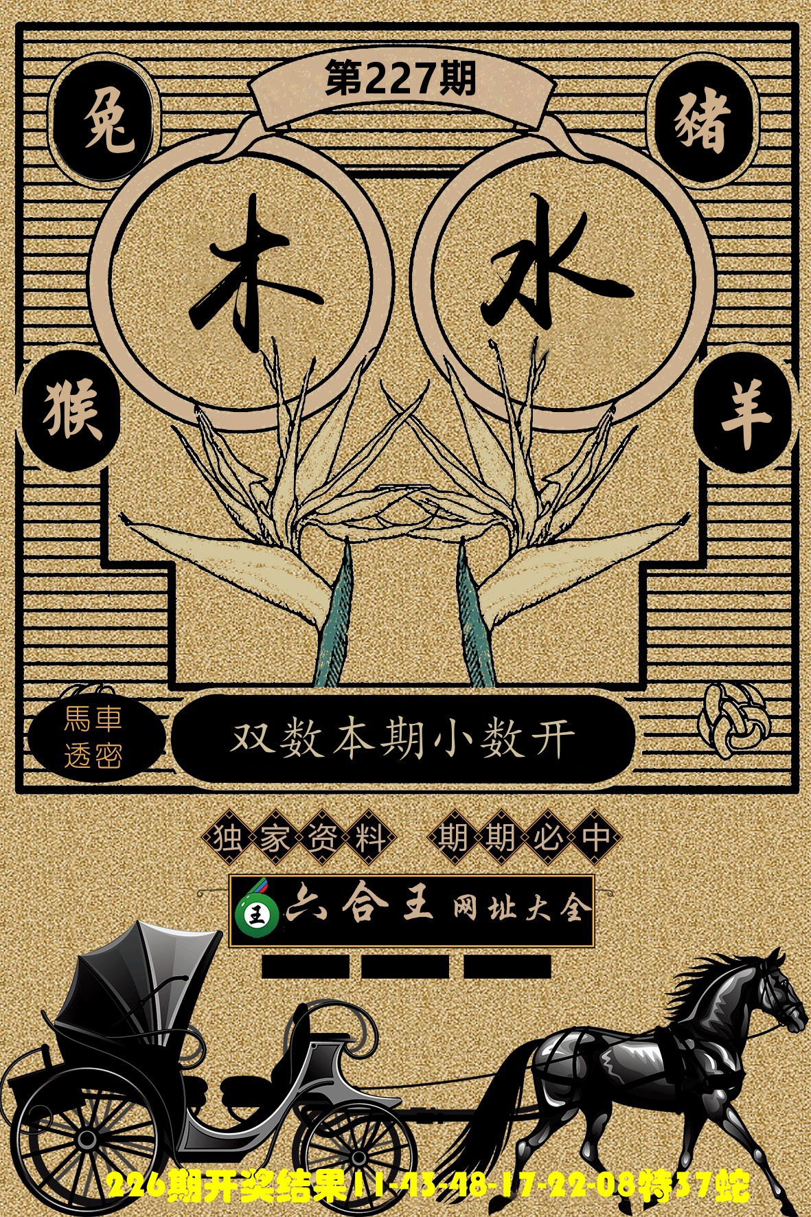 六合王马车透密 第227期