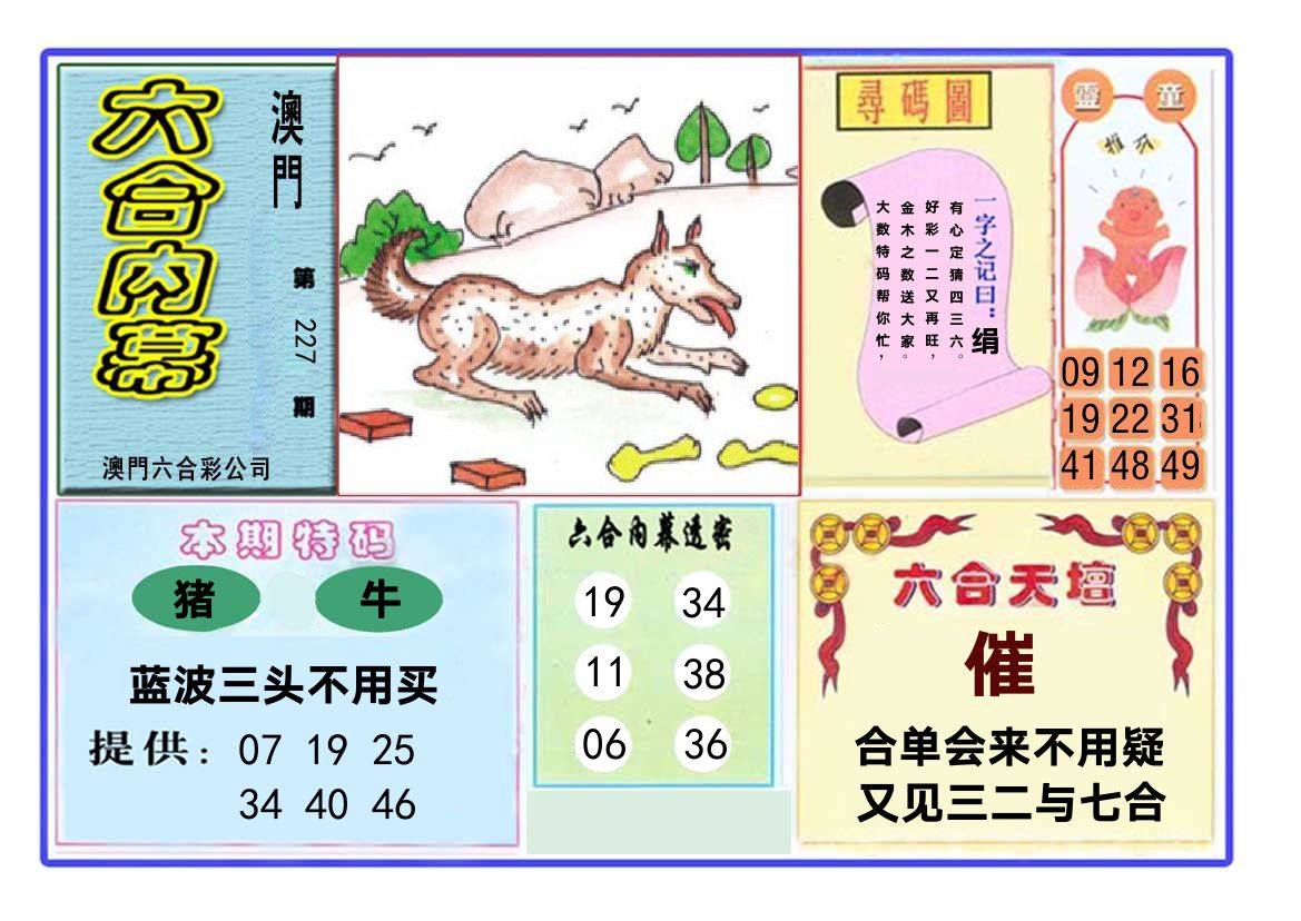 六合内幕 第227期
