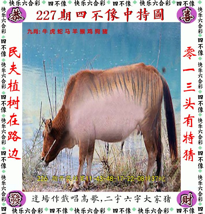 四不像 第227期