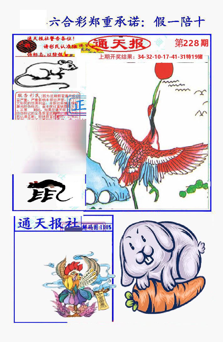 通天报 第228期