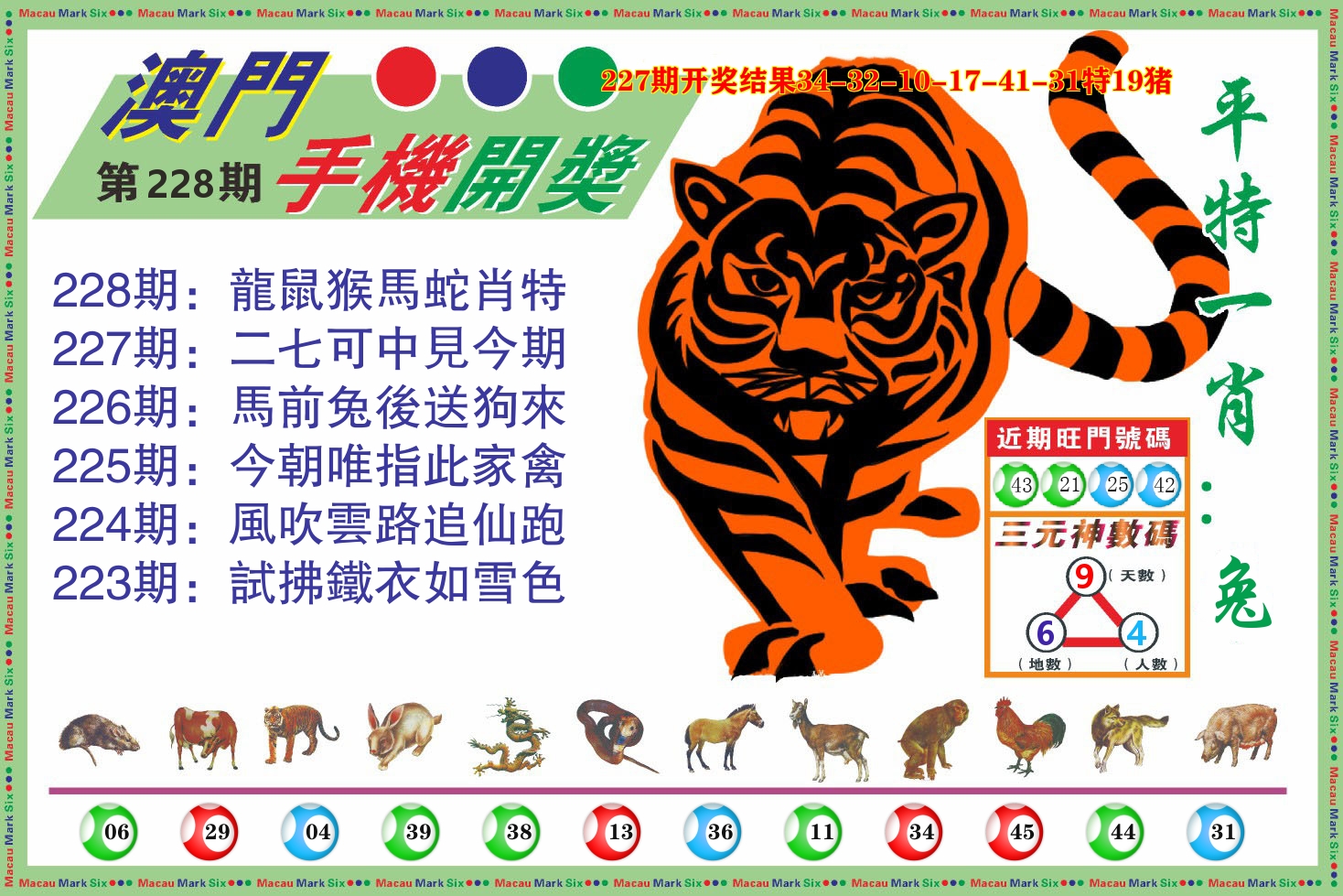 澳门开奖报 第228期