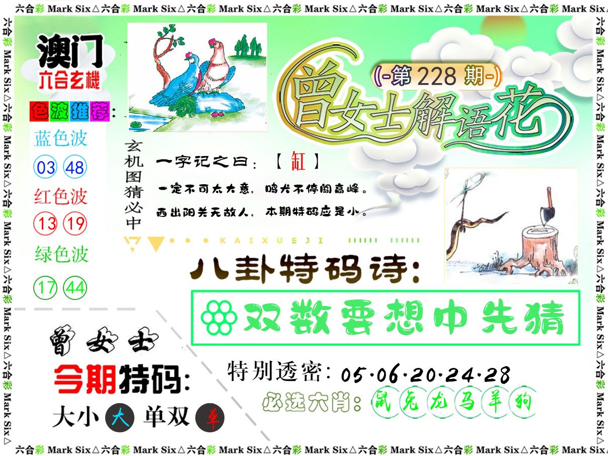 曾女士解语花 第228期