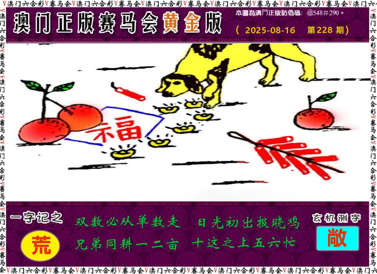 赛马会黄金版 第228期