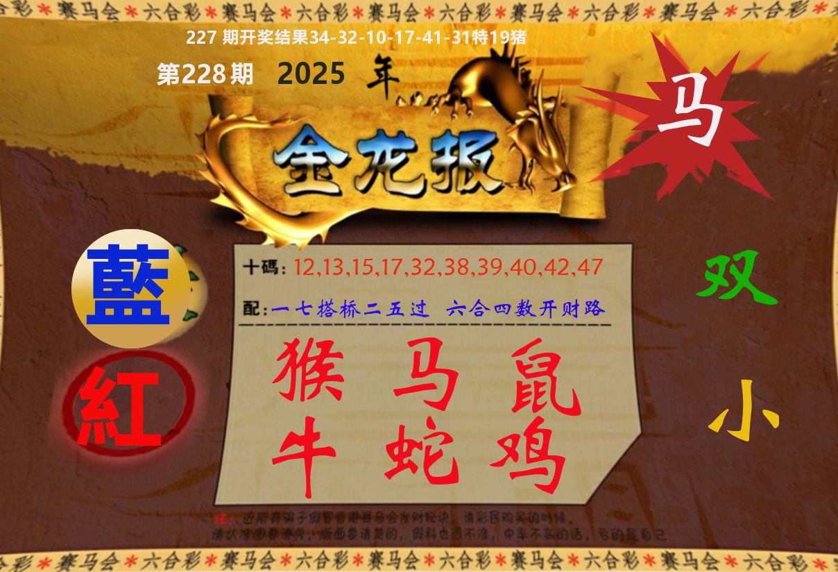 金龙报 第228期