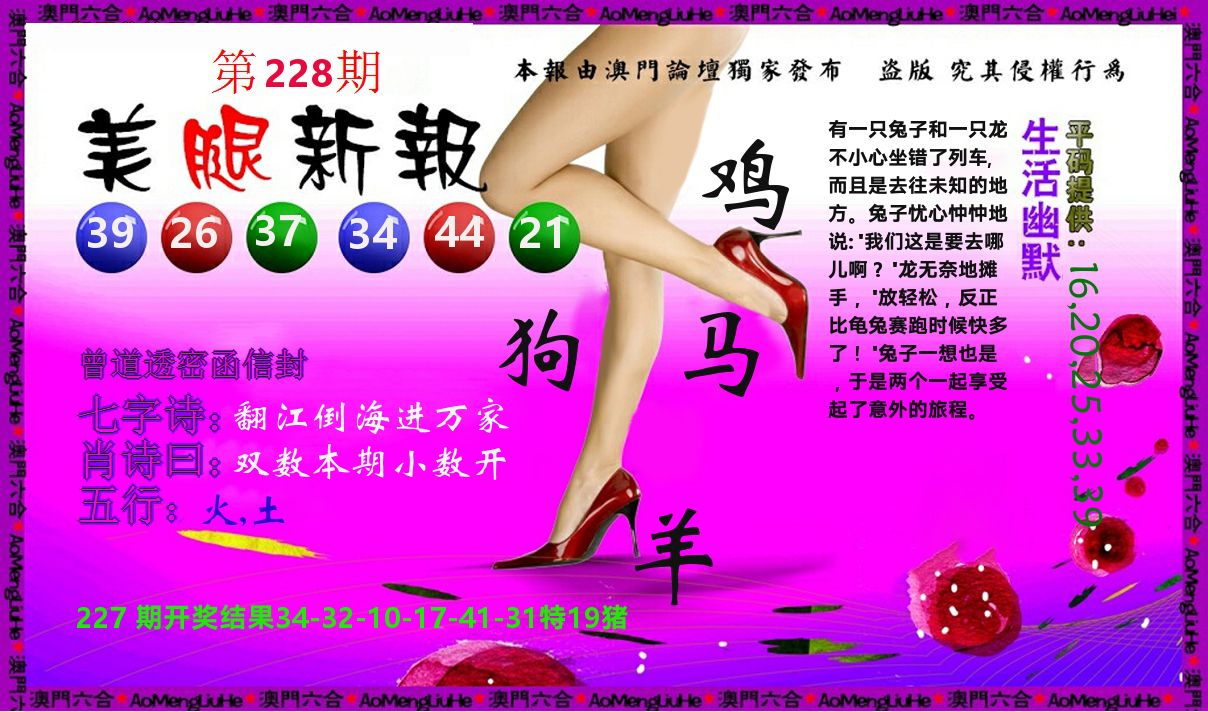 美腿新报 第228期