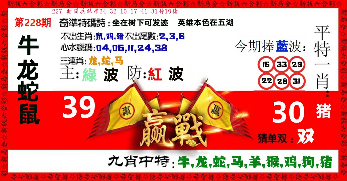 赢站 第228期