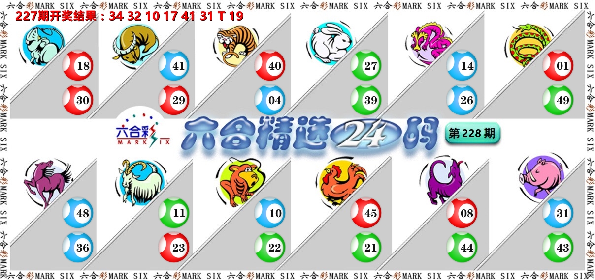 六合精选24码 第228期