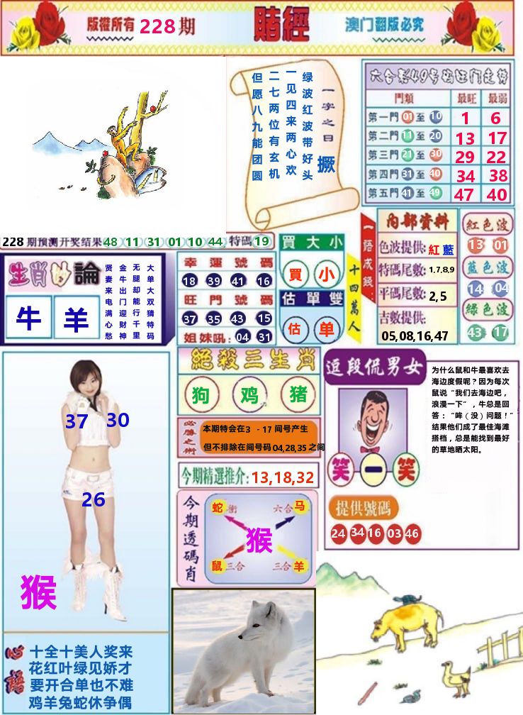 澳门赌经 第228期