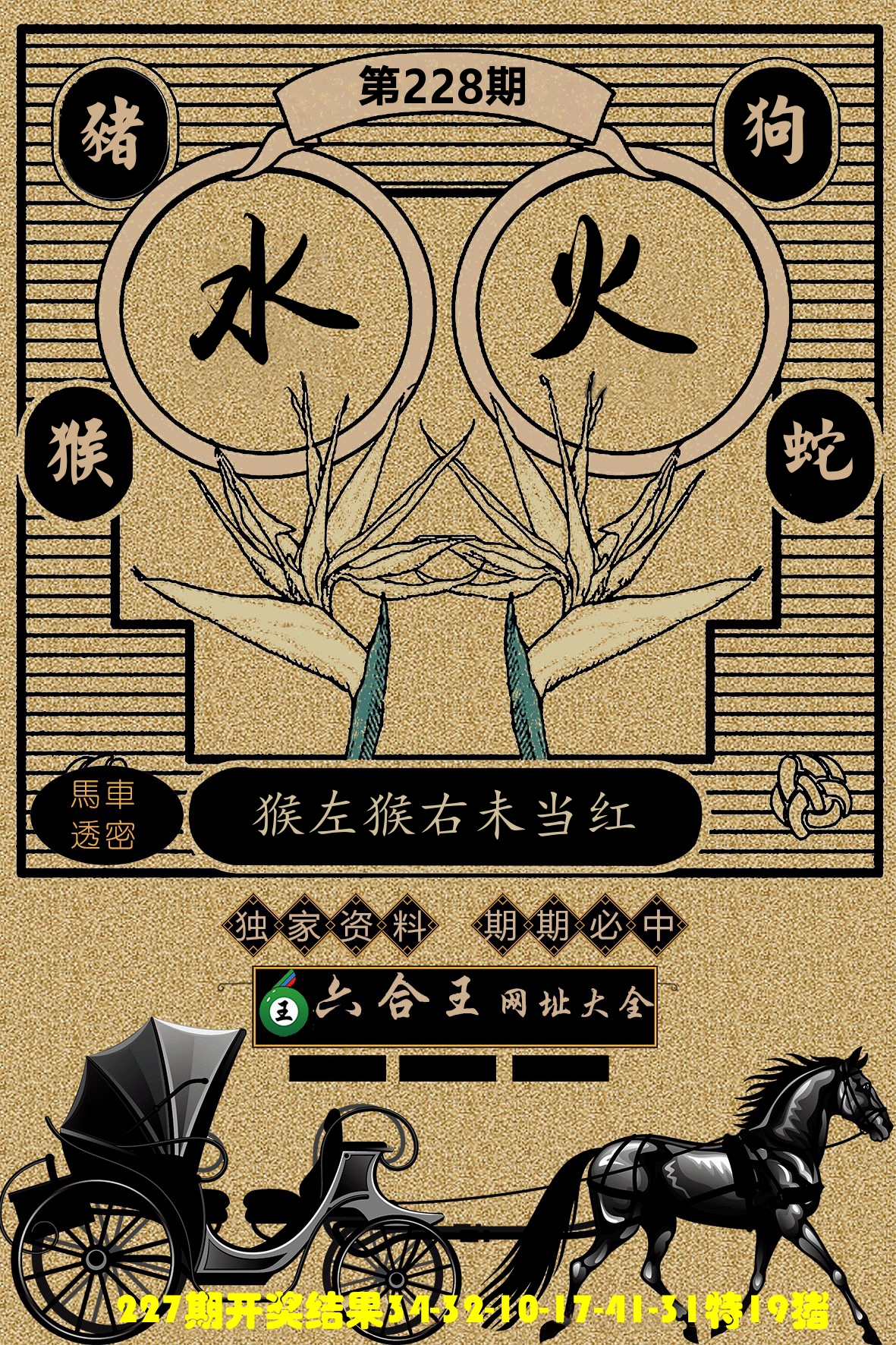 六合王马车透密 第228期