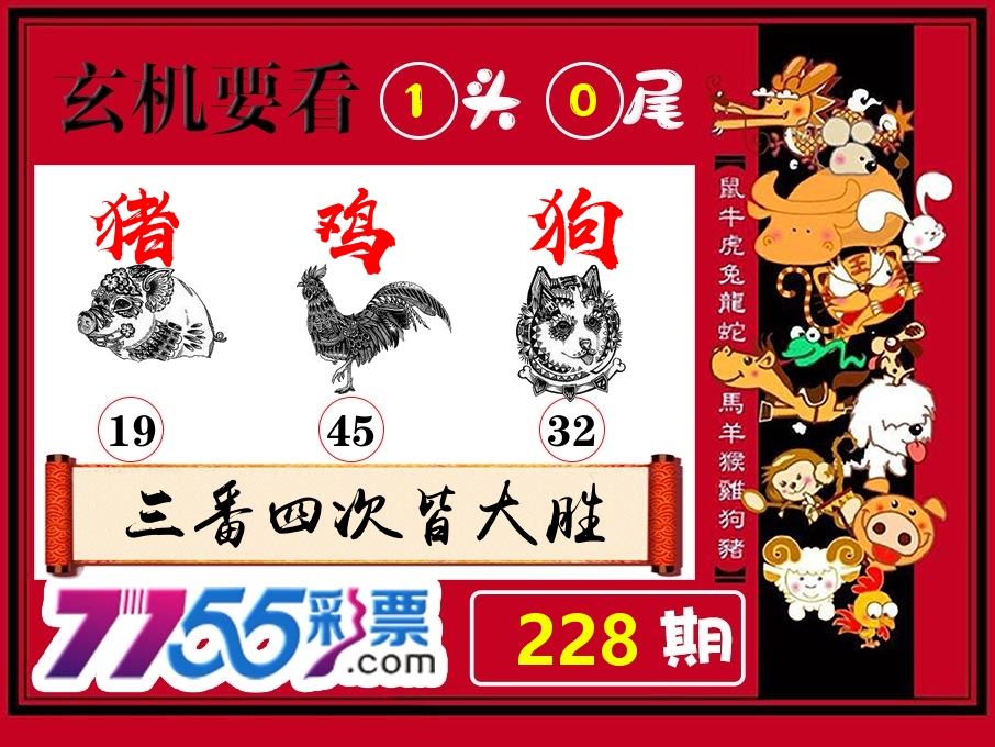 玄机要看 第228期