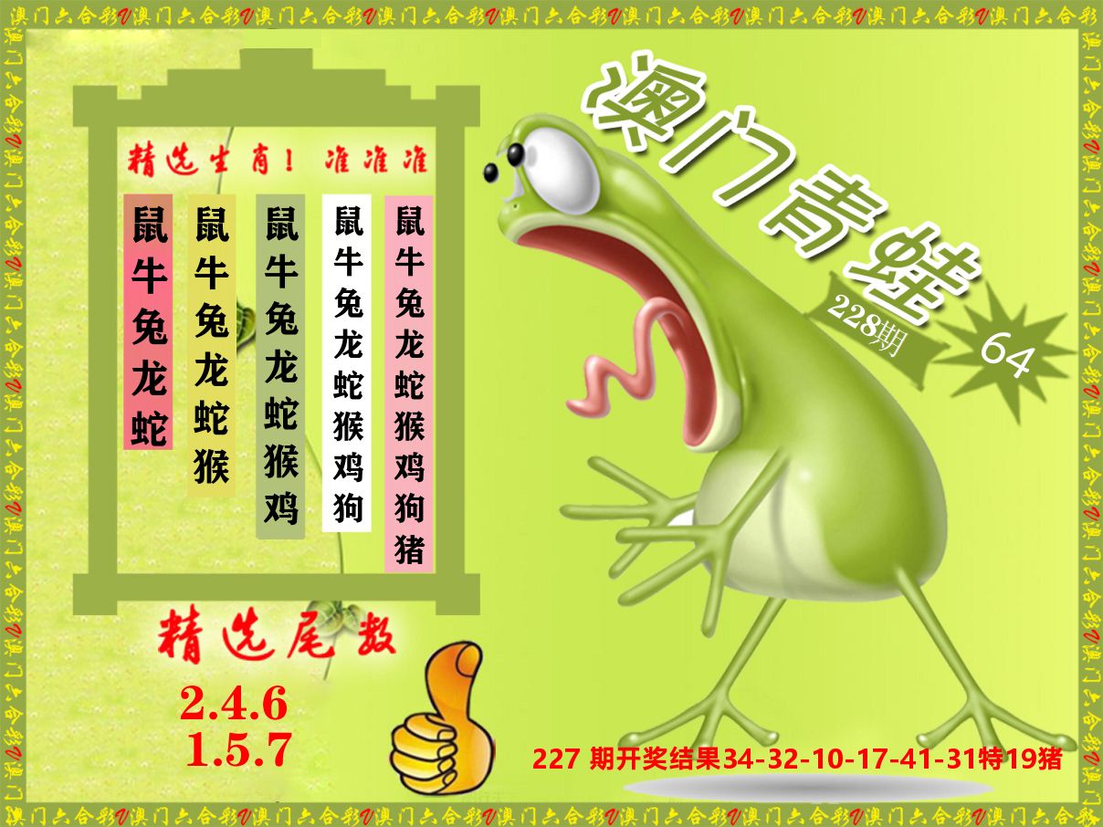 青蛙系列64 第228期