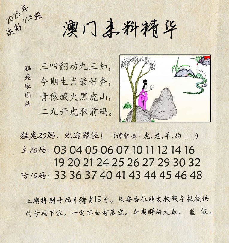 精华来料 第228期
