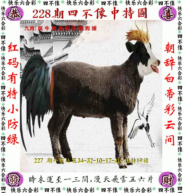 四不像 第228期