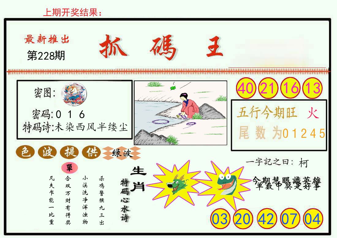 最新抓码王 第228期