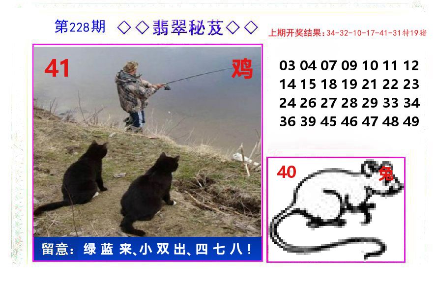 翡翠秘芨 第228期