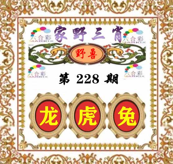 家野三肖 第228期