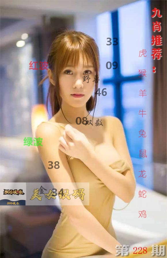 美女报码 第228期