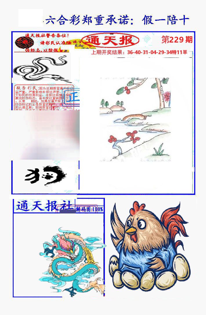 通天报 第229期