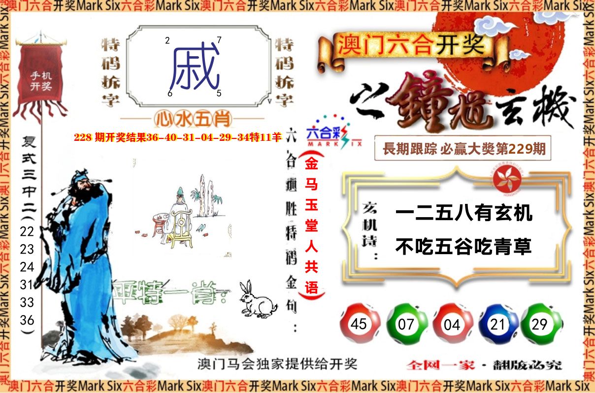 钟道玄机 第229期