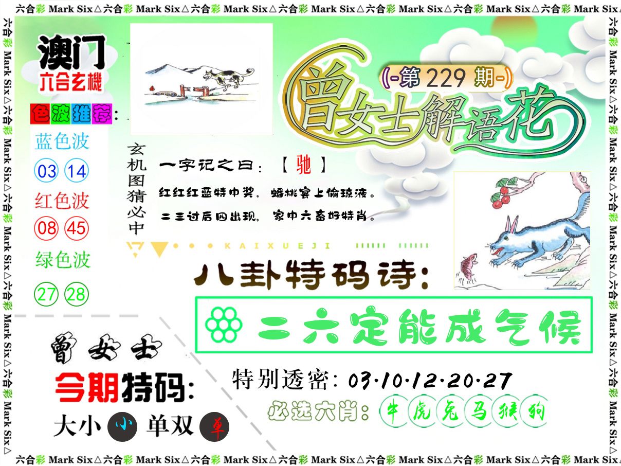 曾女士解语花 第229期
