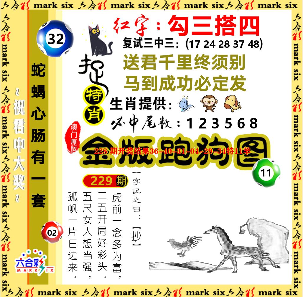 金版跑狗图 第229期