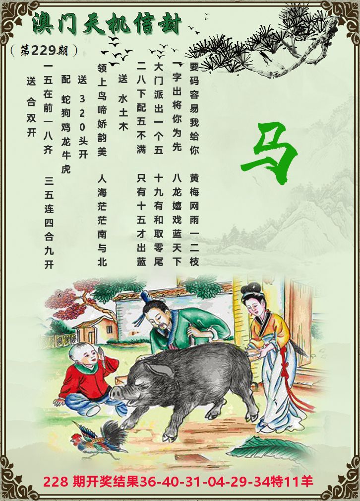 天机信封 第229期