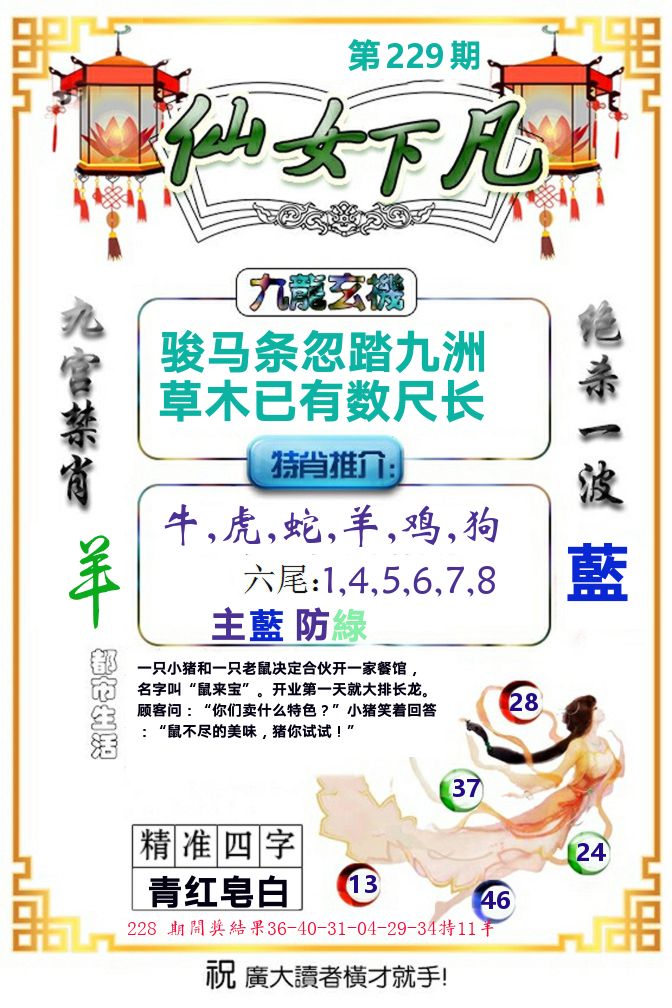 仙女下凡 第229期