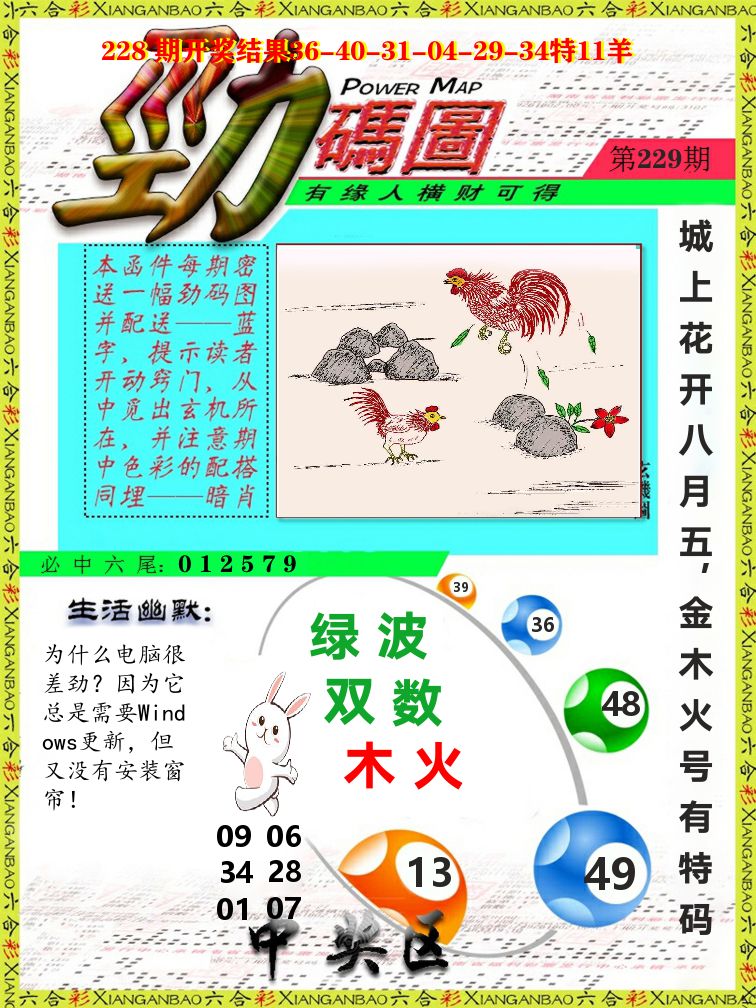 劲码图 第229期