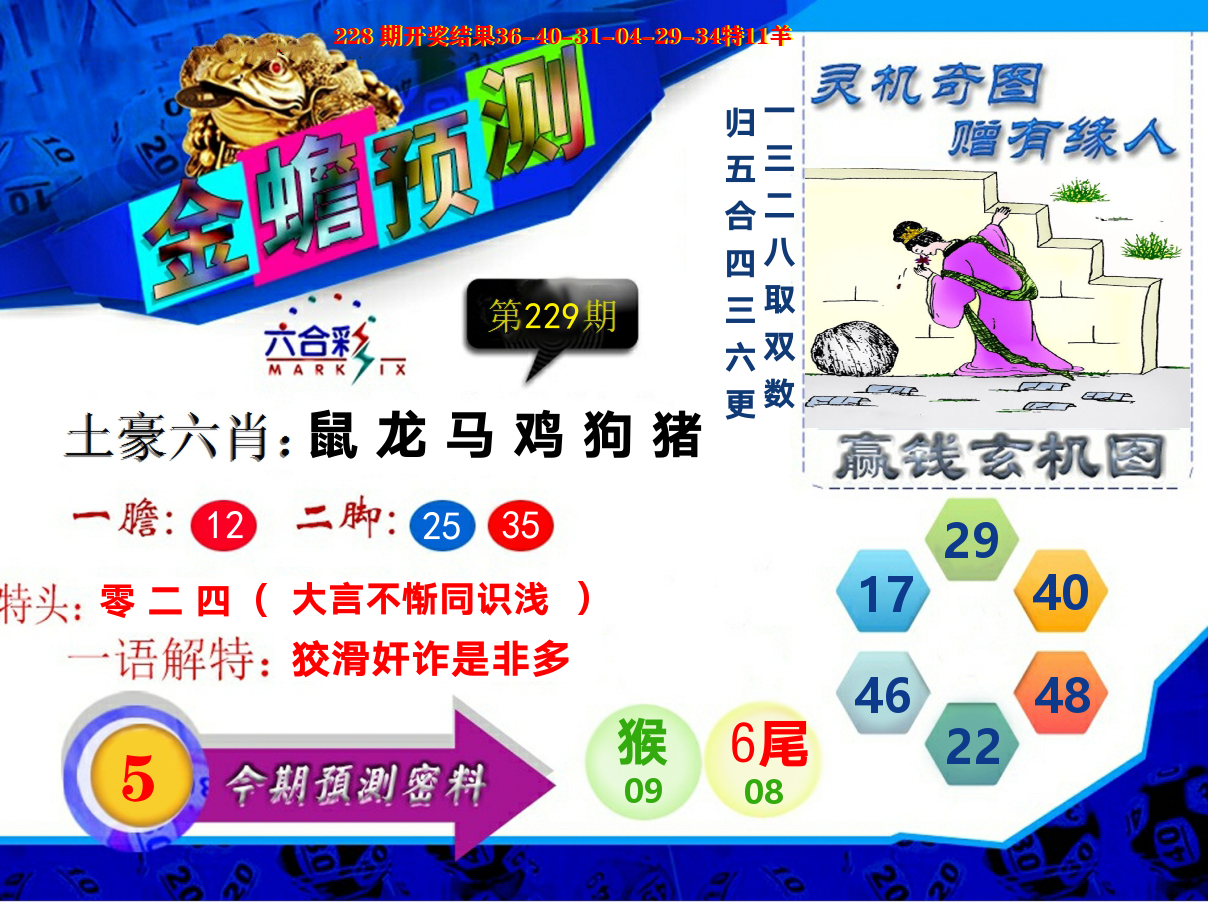 金蟾预测 第229期