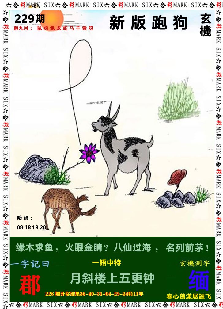 悟入其图 第229期