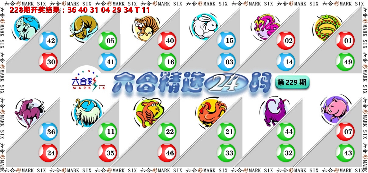 六合精选24码 第229期