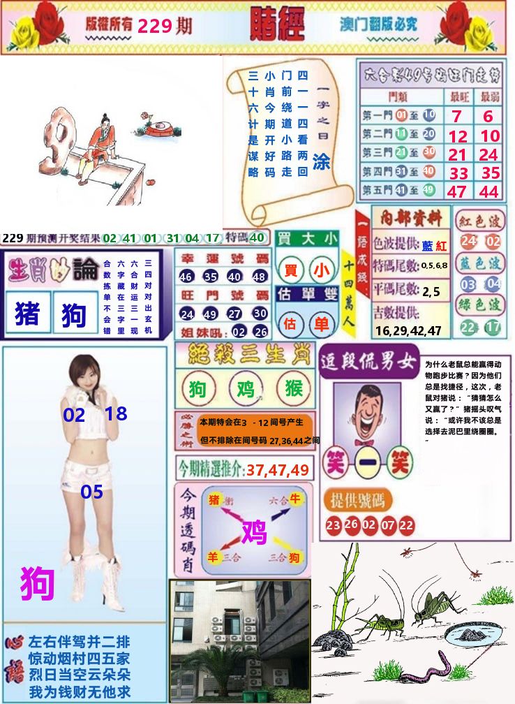 澳门赌经 第229期