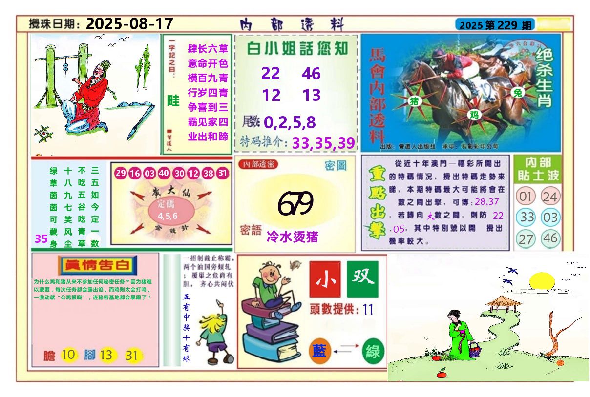 澳门内部透料A 第229期