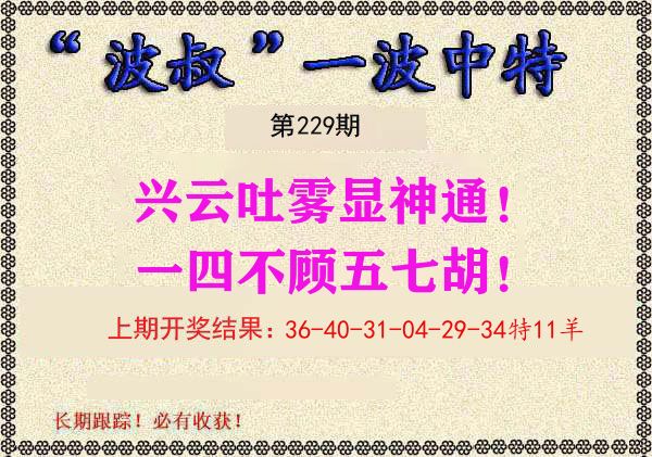 波叔中特 第229期