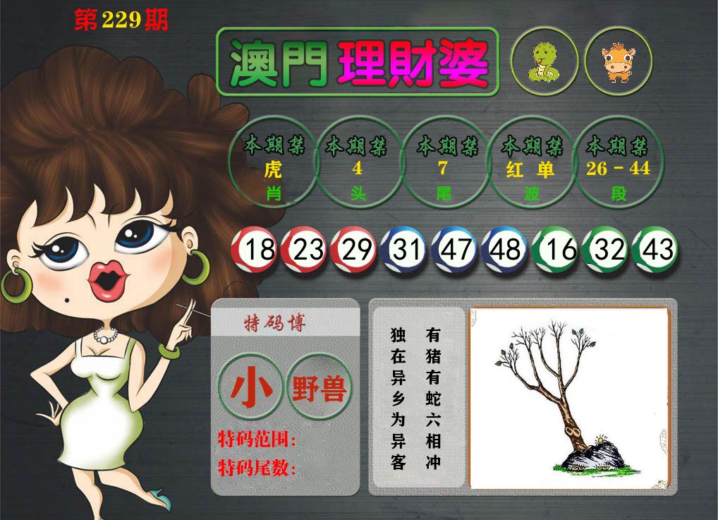 理财婆 第229期