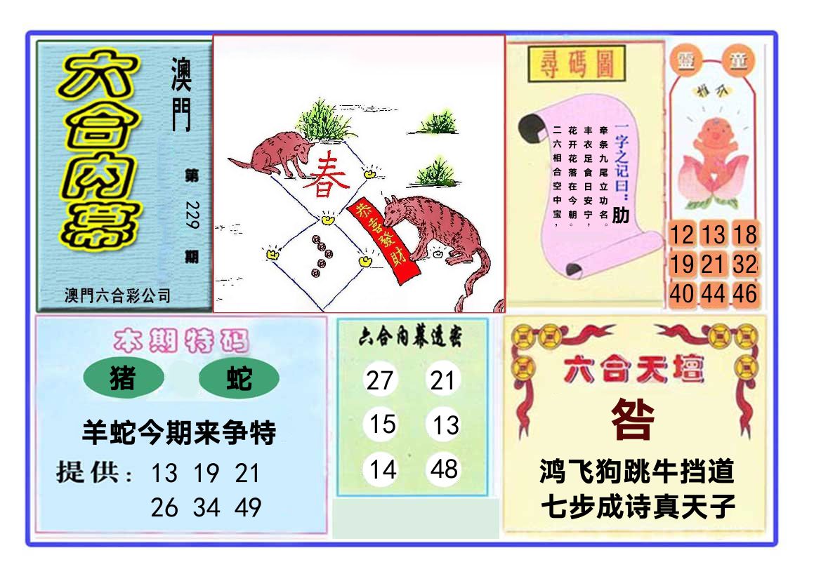 六合内幕 第229期