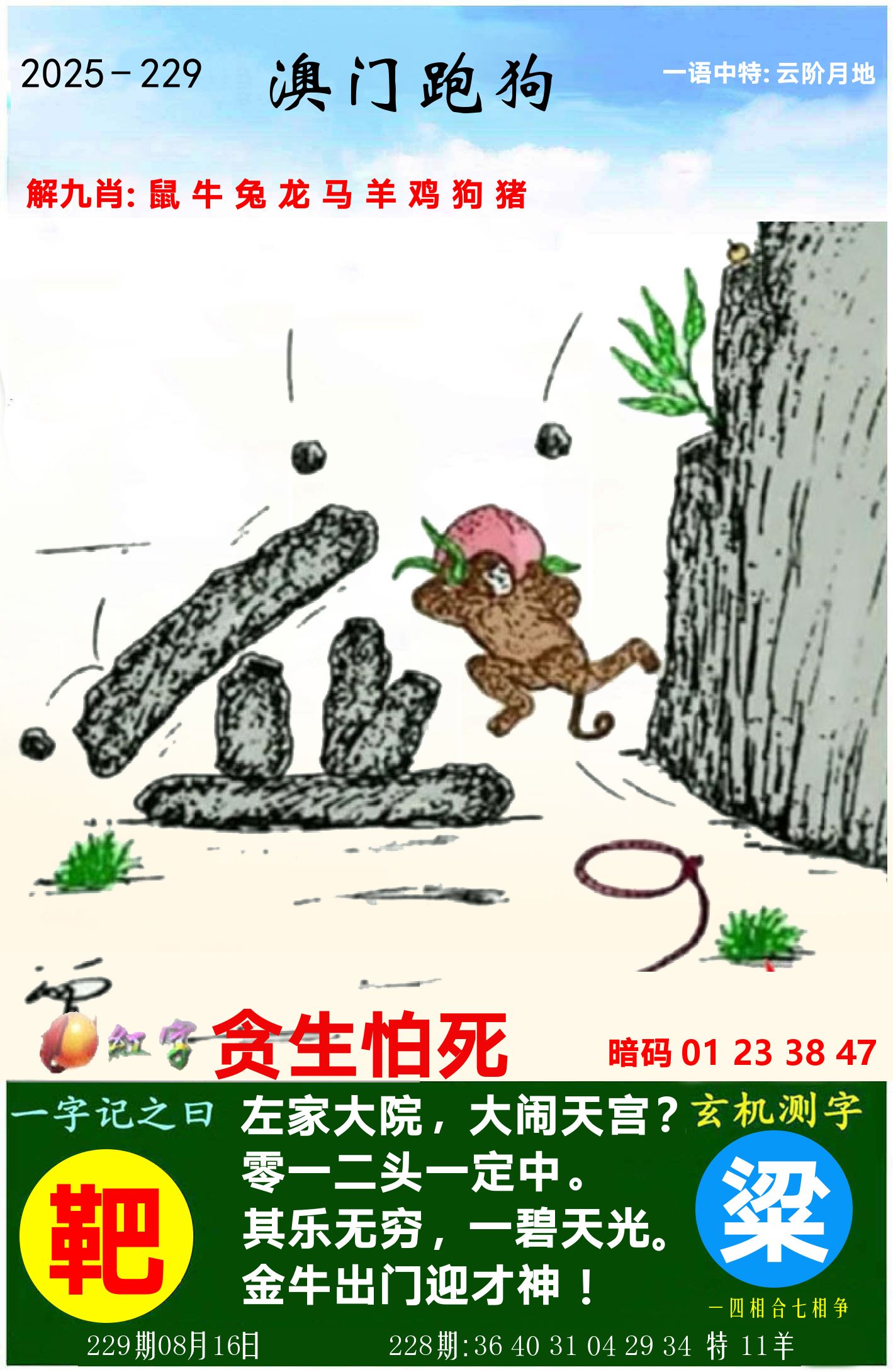 澳门跑狗图 第229期