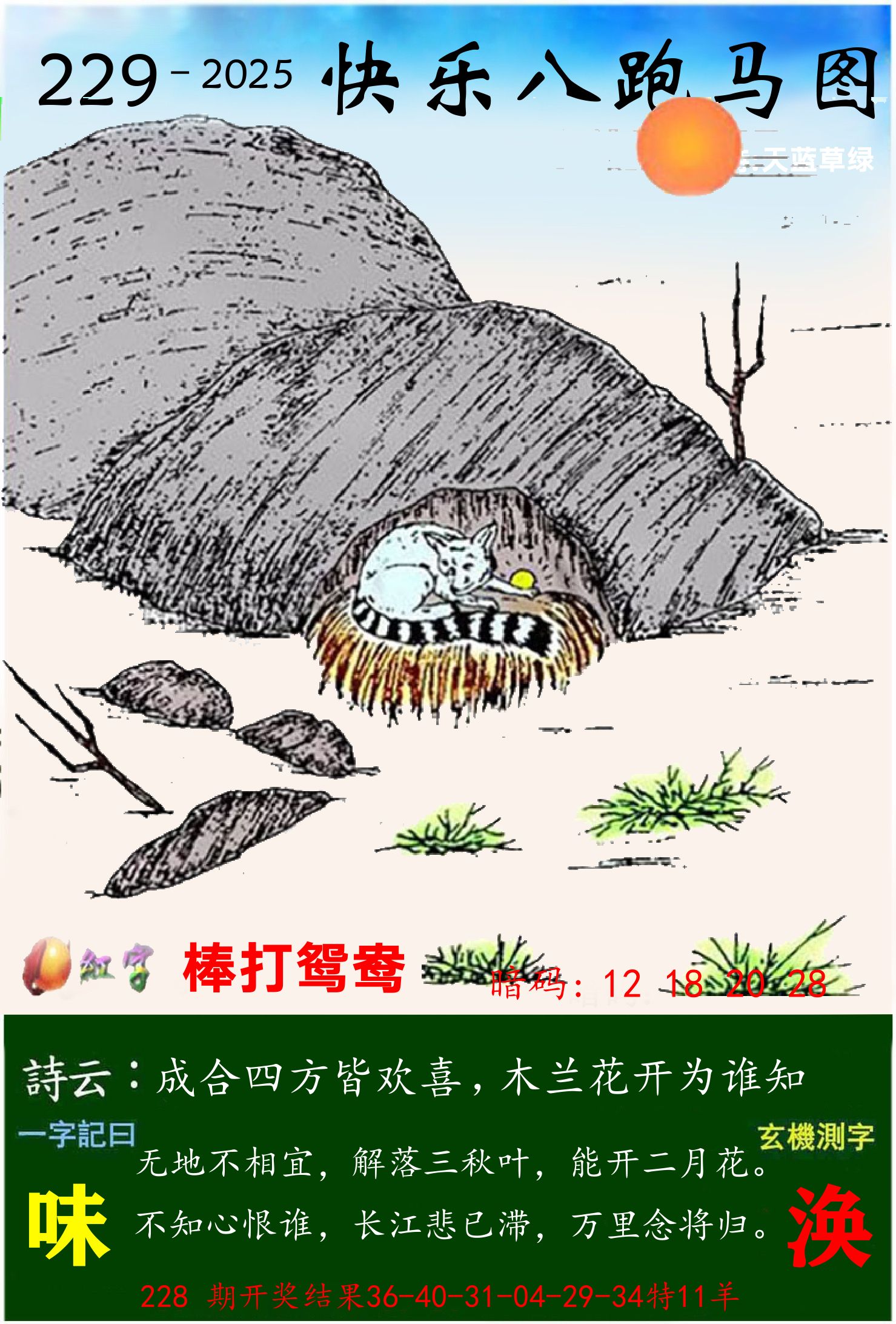 澳门跑马 第229期