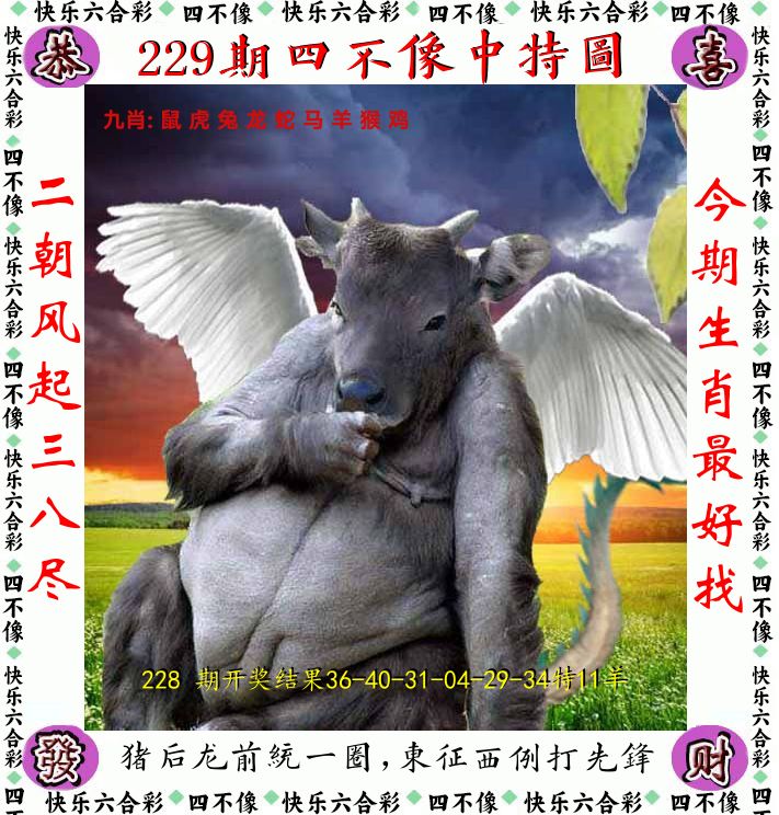 四不像 第229期