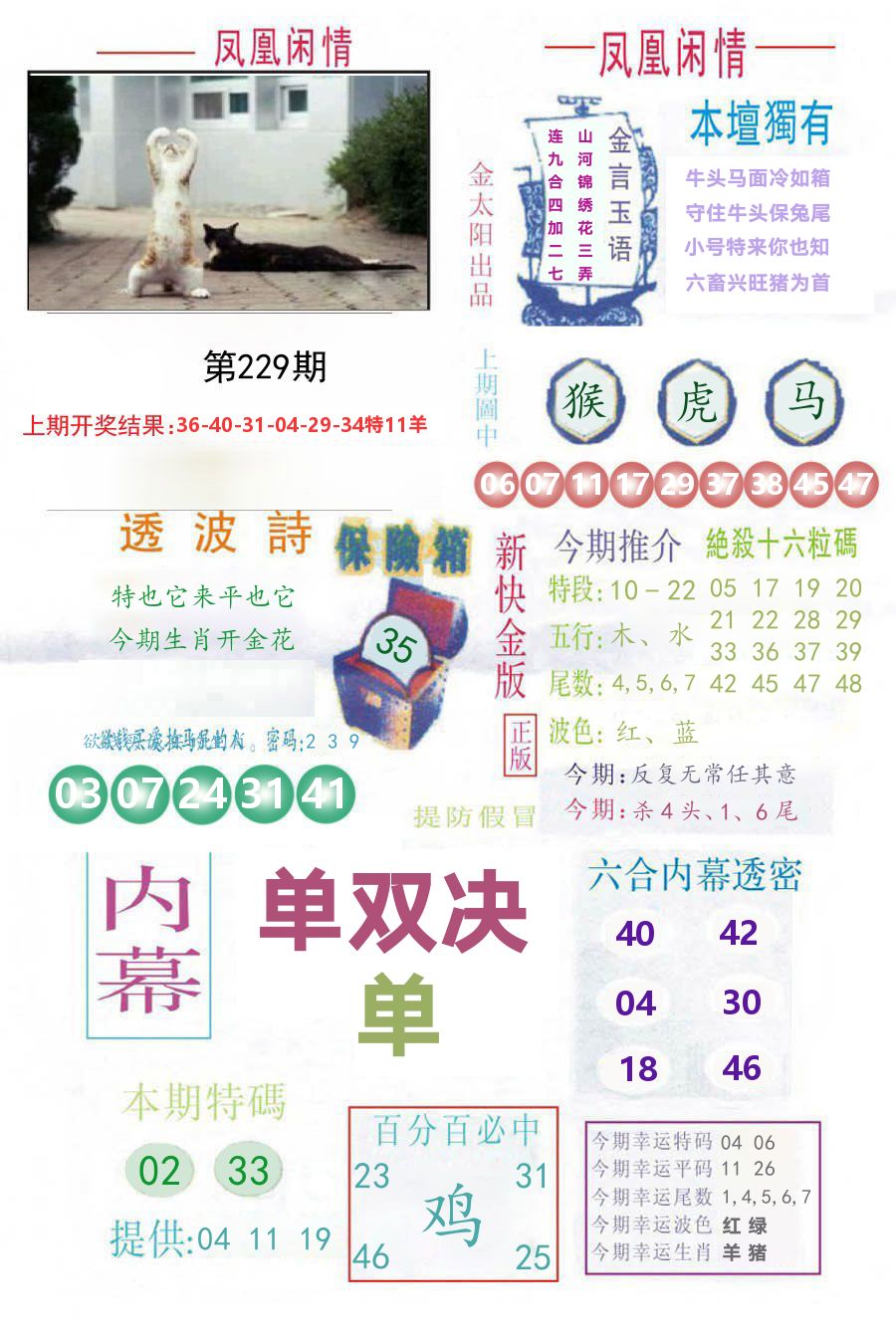 凤凰闲情 第229期